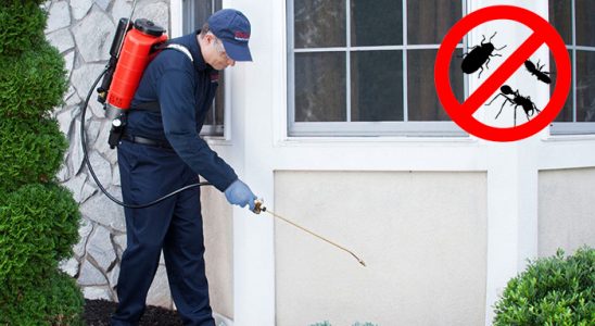 Süleymanpaşa Böcek ve Haşere İlaçlama böcek ilaçlama ve haşere kontrolü — ilaclama-tr.com